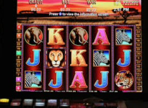 壹号电子娱乐app下载电脑免费版