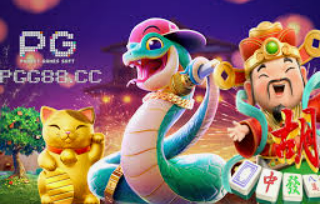 壹号电子娱乐app下载2024最新版